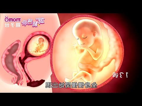 胎兒 頭髮